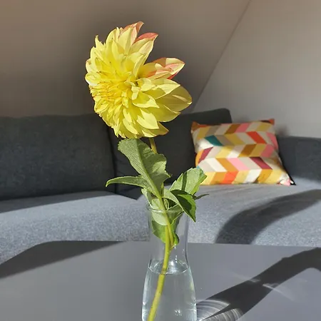 Hoerihaus 1804 Apartamento