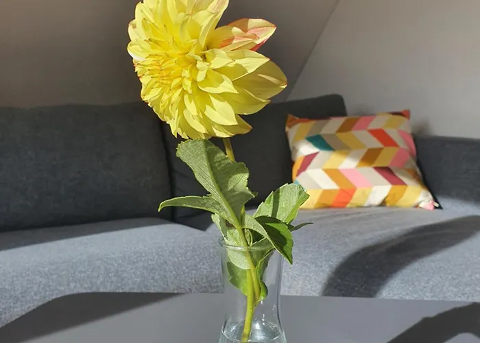 Hoerihaus 1804 Appartement